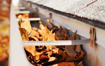Cwmyoy gutter cleaning companies